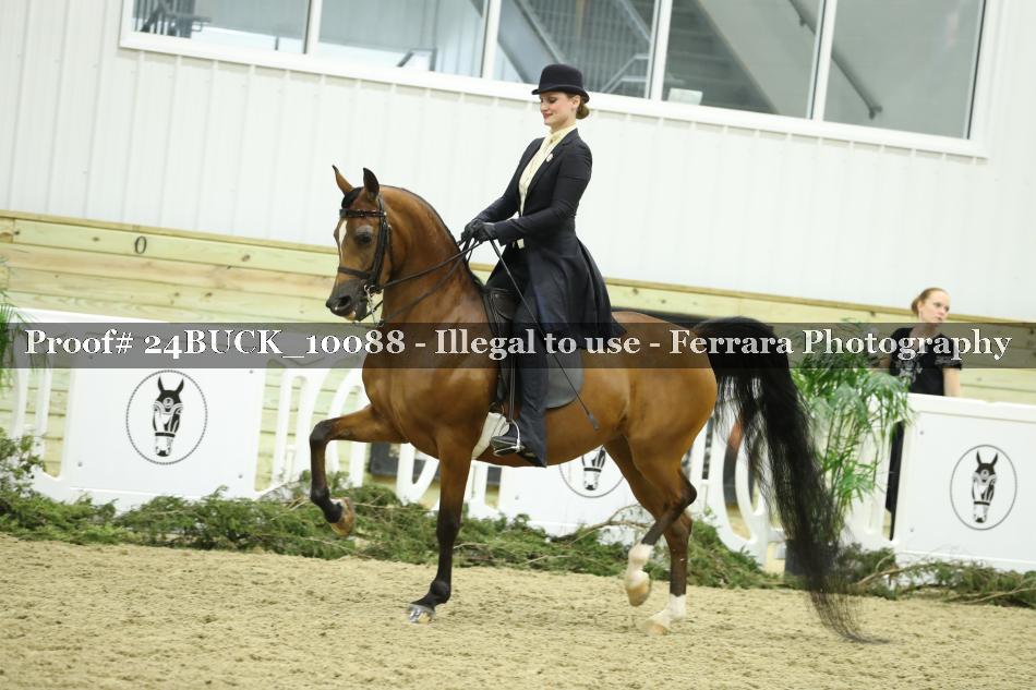 Proof 24BUCK_10088