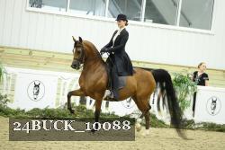24BUCK_10088 proof
