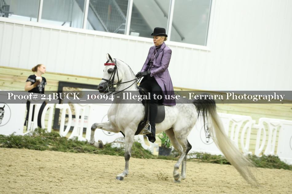 Proof 24BUCK_10094