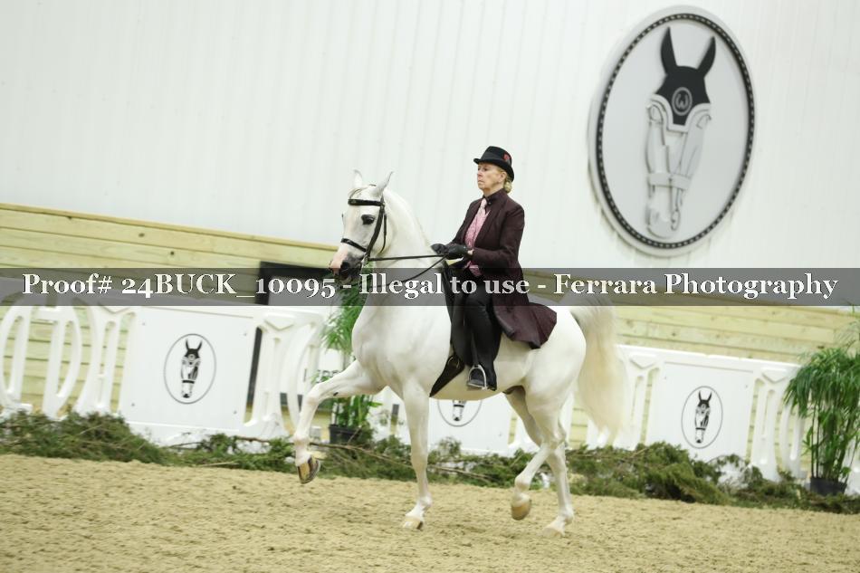 Proof 24BUCK_10095