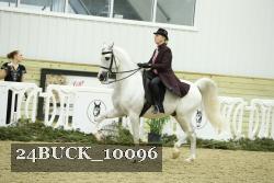 24BUCK_10096 proof
