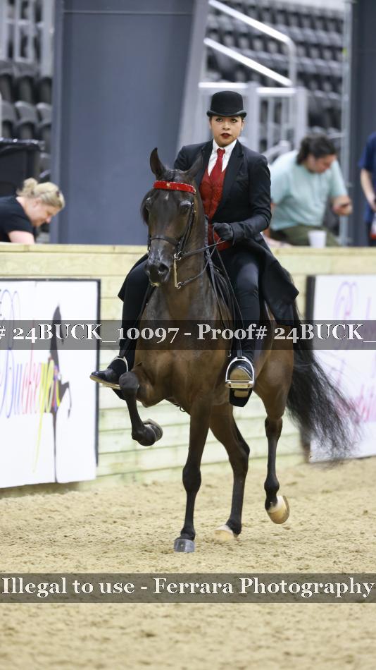 Proof 24BUCK_10097