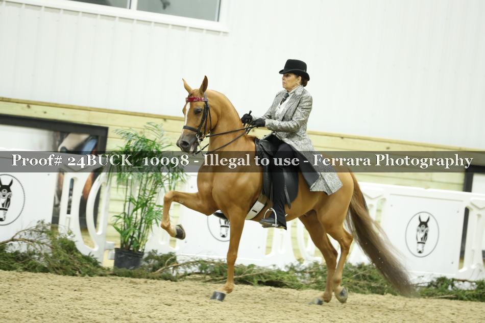 Proof 24BUCK_10098