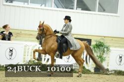 24BUCK_10100 proof