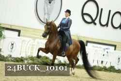 24BUCK_10101 proof