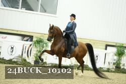 24BUCK_10102 proof