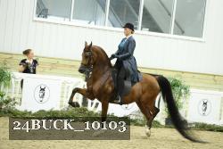 24BUCK_10103 proof
