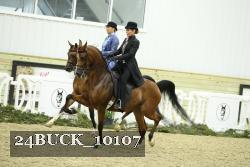 24BUCK_10107 proof