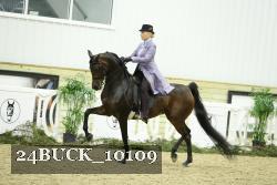 24BUCK_10109 proof