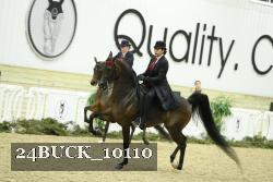 24BUCK_10110 proof