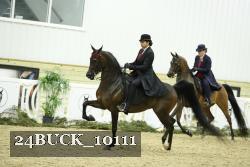 24BUCK_10111 proof