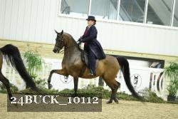24BUCK_10112 proof