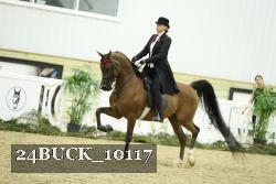 24BUCK_10117 proof