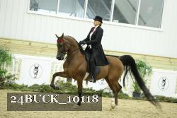 24BUCK_10118 proof