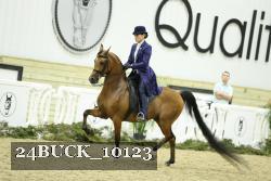 24BUCK_10123 proof