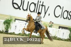 24BUCK_10124 proof
