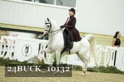 24BUCK_10132 proof