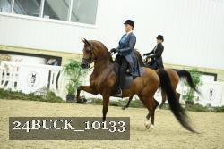 24BUCK_10133 proof
