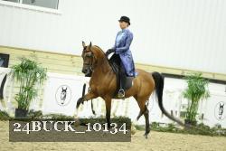 24BUCK_10134 proof