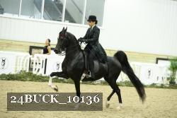 24BUCK_10136 proof