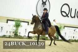24BUCK_10139 proof