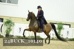 24BUCK_10140 proof