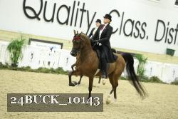 24BUCK_10143 proof