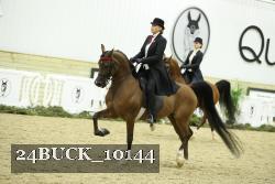 24BUCK_10144 proof