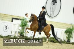 24BUCK_10147 proof