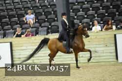 24BUCK_10157 proof