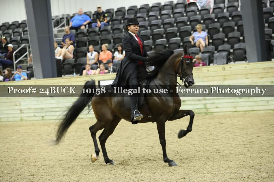 Proof 24BUCK_10158