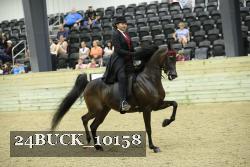 24BUCK_10158 proof