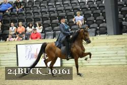 24BUCK_10161 proof
