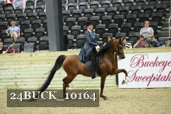24BUCK_10164 proof
