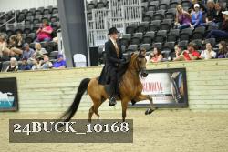 24BUCK_10168 proof