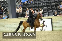 24BUCK_10169 proof
