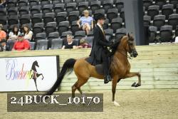 24BUCK_10170 proof