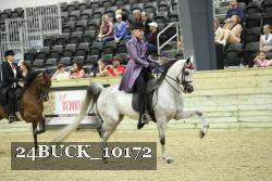24BUCK_10172 proof