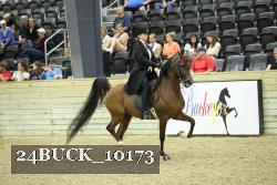 24BUCK_10173 proof