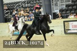 24BUCK_10174 proof