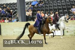 24BUCK_10176 proof
