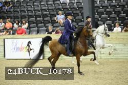 24BUCK_10178 proof