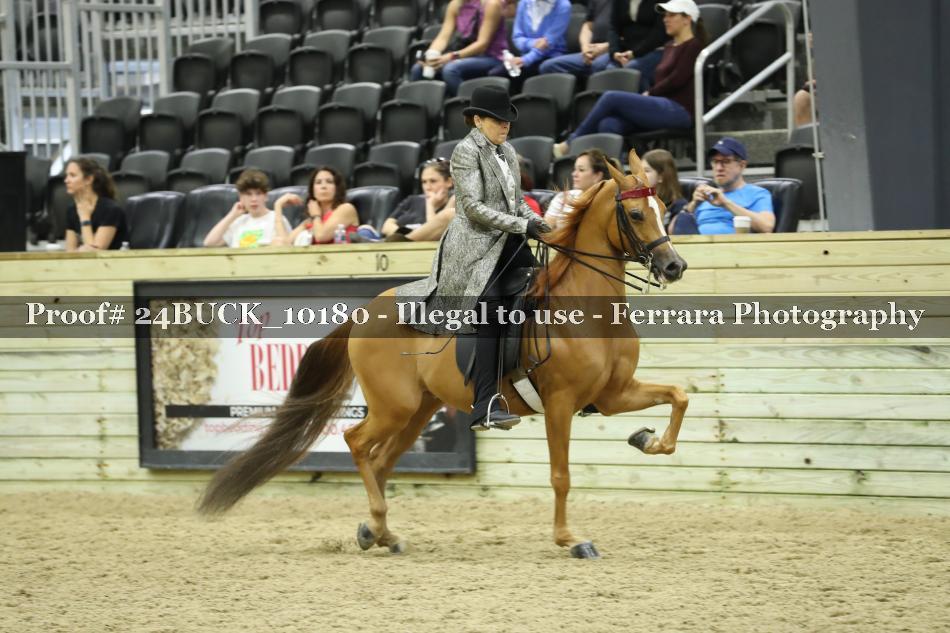 Proof 24BUCK_10180