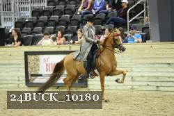 24BUCK_10180 proof