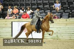 24BUCK_10181 proof