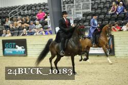 24BUCK_10183 proof