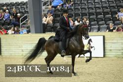 24BUCK_10184 proof