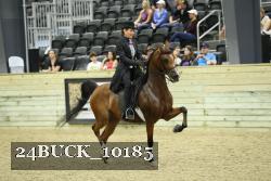 24BUCK_10185 proof