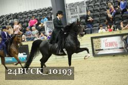 24BUCK_10193 proof