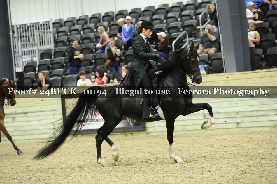 Proof 24BUCK_10194